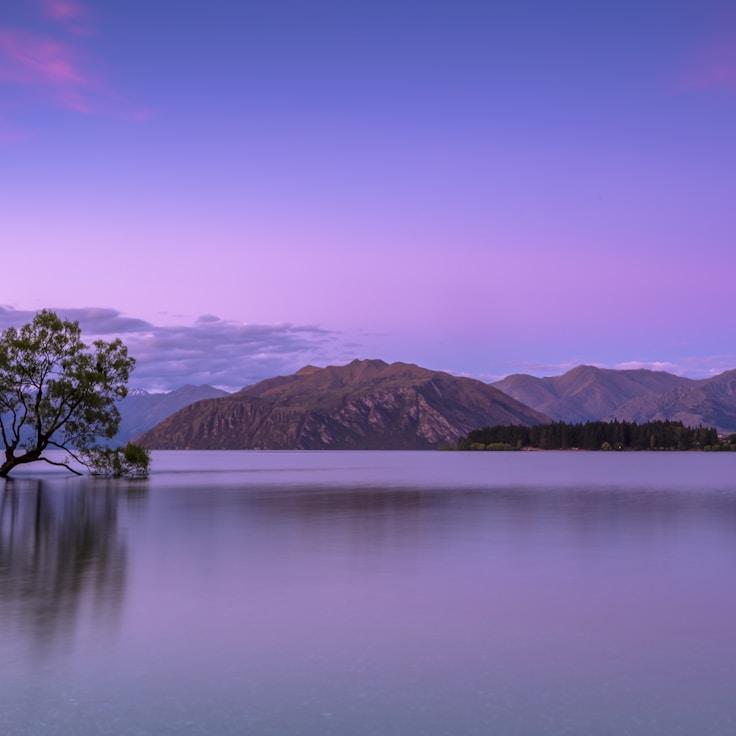 Alpine wild landscape